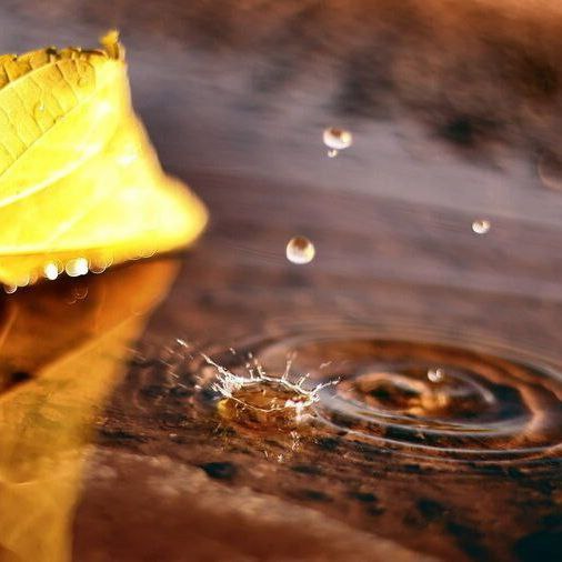 آهنگ جدید هر کجا سنگ گپی پای لرونه جونم